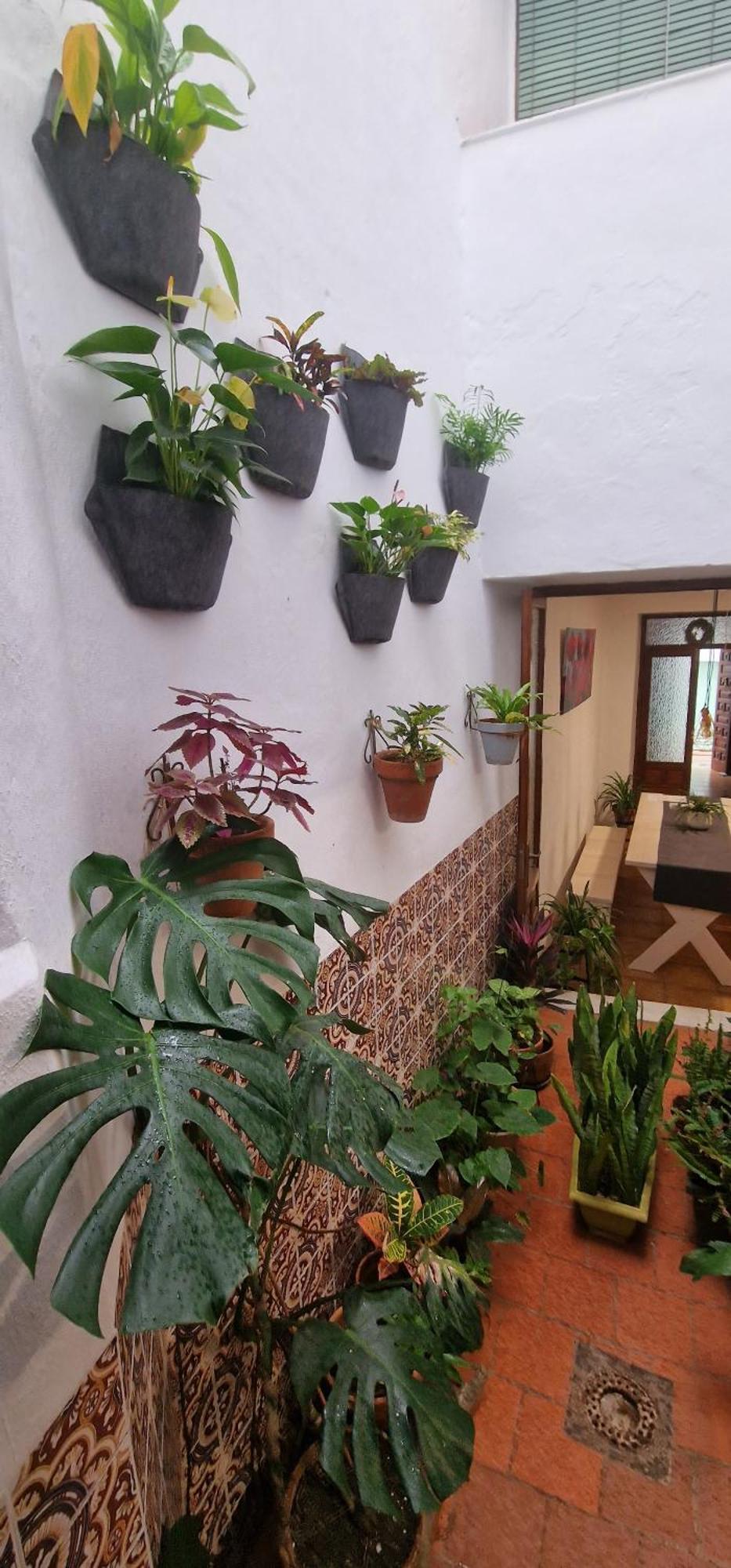 La Casa De Abuela Habitaciones Con Bano Compartido En El Casco Historico De Frigiliana "Solo Adultos" Exterior foto